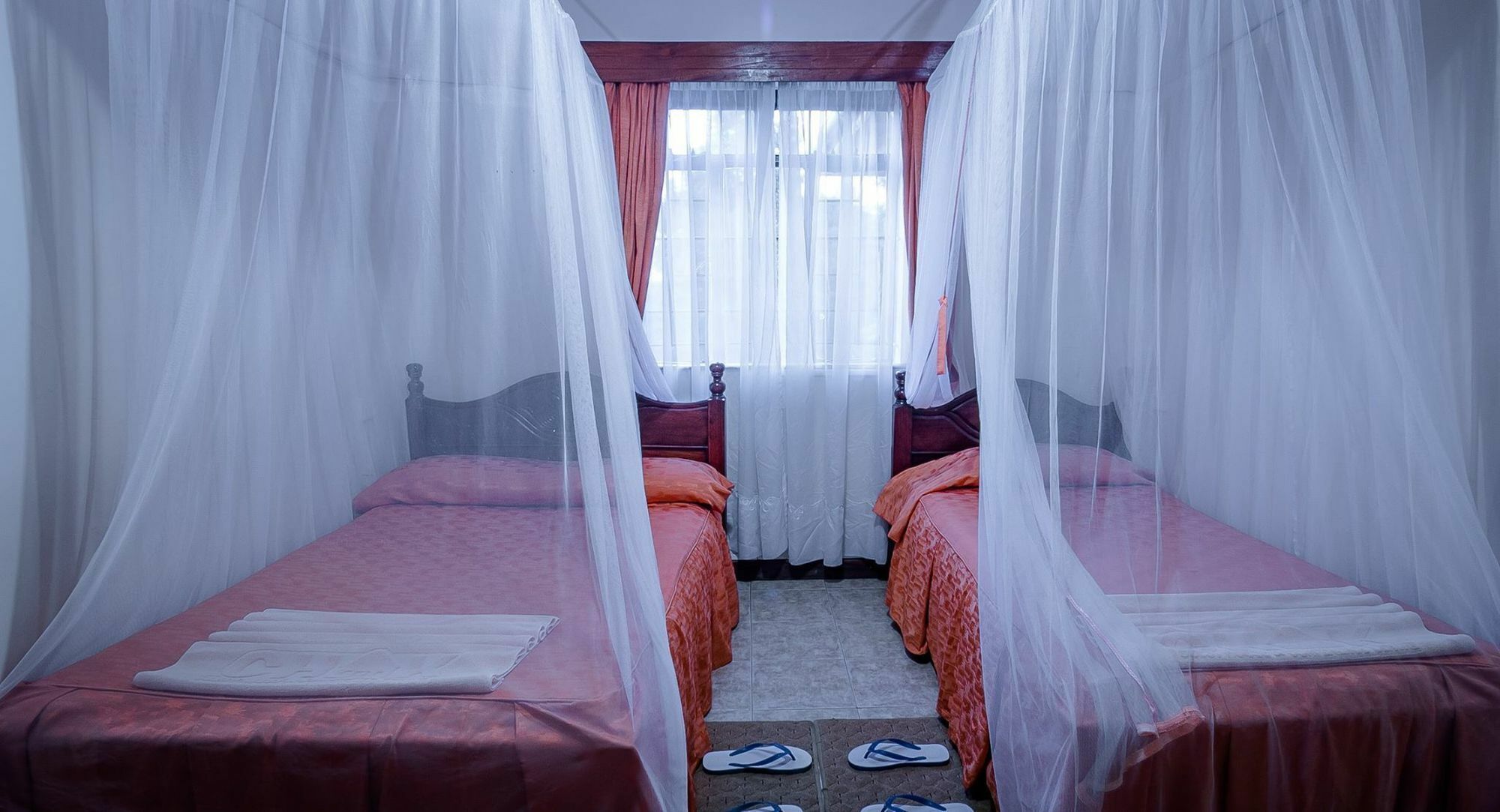 Chak Guesthouse & Conference Center ナイロビ エクステリア 写真